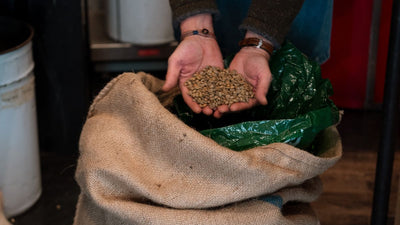 Au cœur du café : nos partenaires, un maillon essentiel