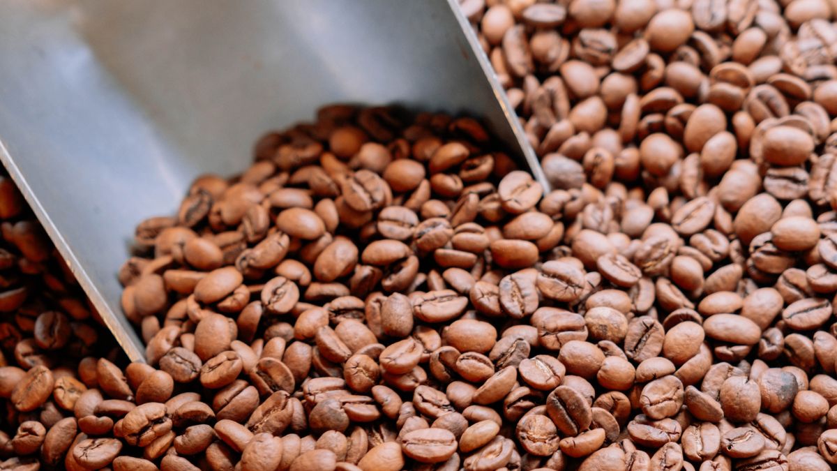 Faut-il conserver le café au frigo ? Les conseils de nos torréfacteurs