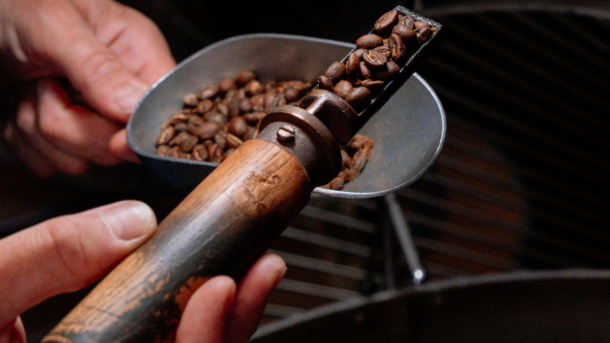 Pourquoi acheter votre café chez un torréfacteur de quartier ?