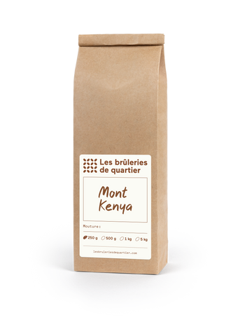 Mont Kenya