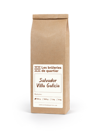 Salvador Villa Galicia